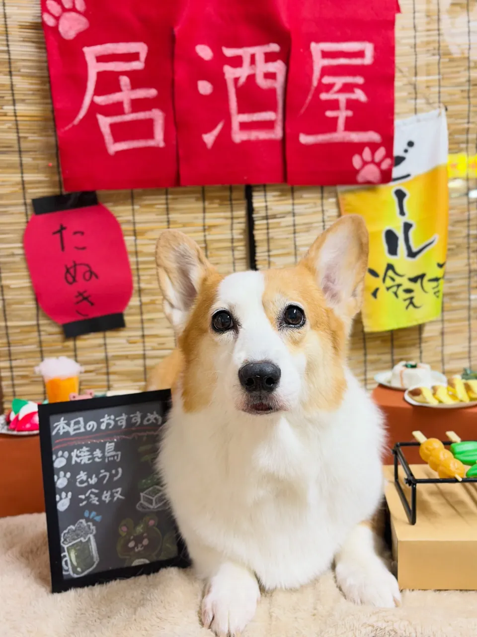 🍃9/14のトリミング🍃コーギー🐶|名東区・千種区・守山区の...